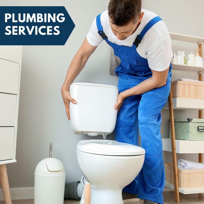 Plumbing Company in Carbon Cliff, IL